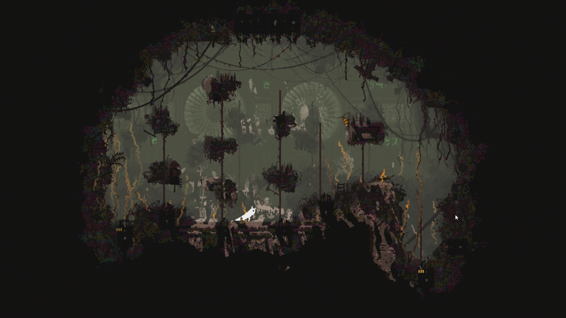 lizhijkxgy9vq9p5frsl